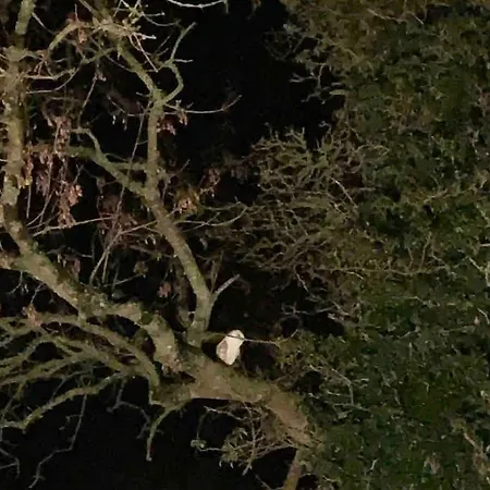 Holiday home Beautiful An Hour's Drive From Four Irish Cities