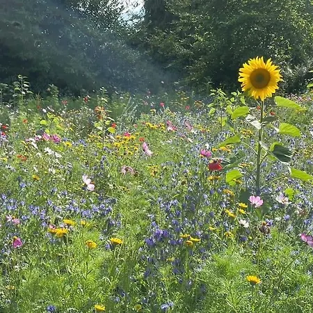 Beautiful An Hour's Drive From Four Irish Cities Holiday home *