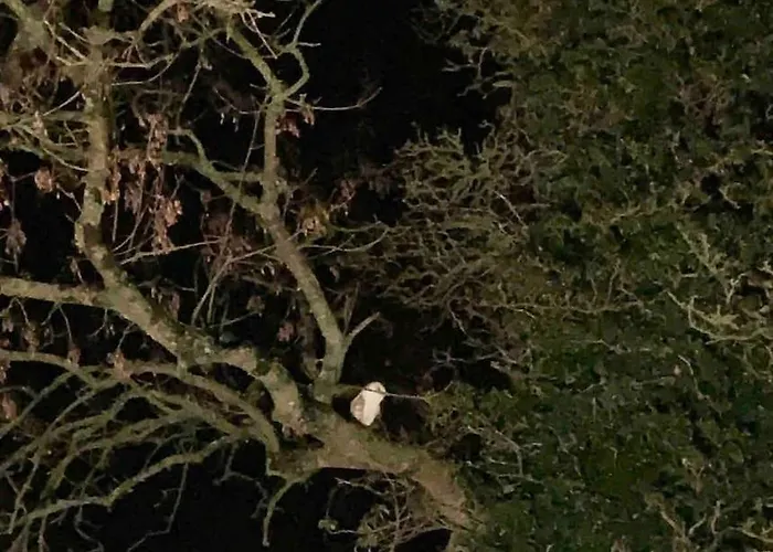 Casa vacanze Beautiful An Hour's Drive From Four Irish Cities