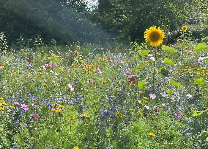 Beautiful An Hour's Drive From Four Irish Cities 度假居 *